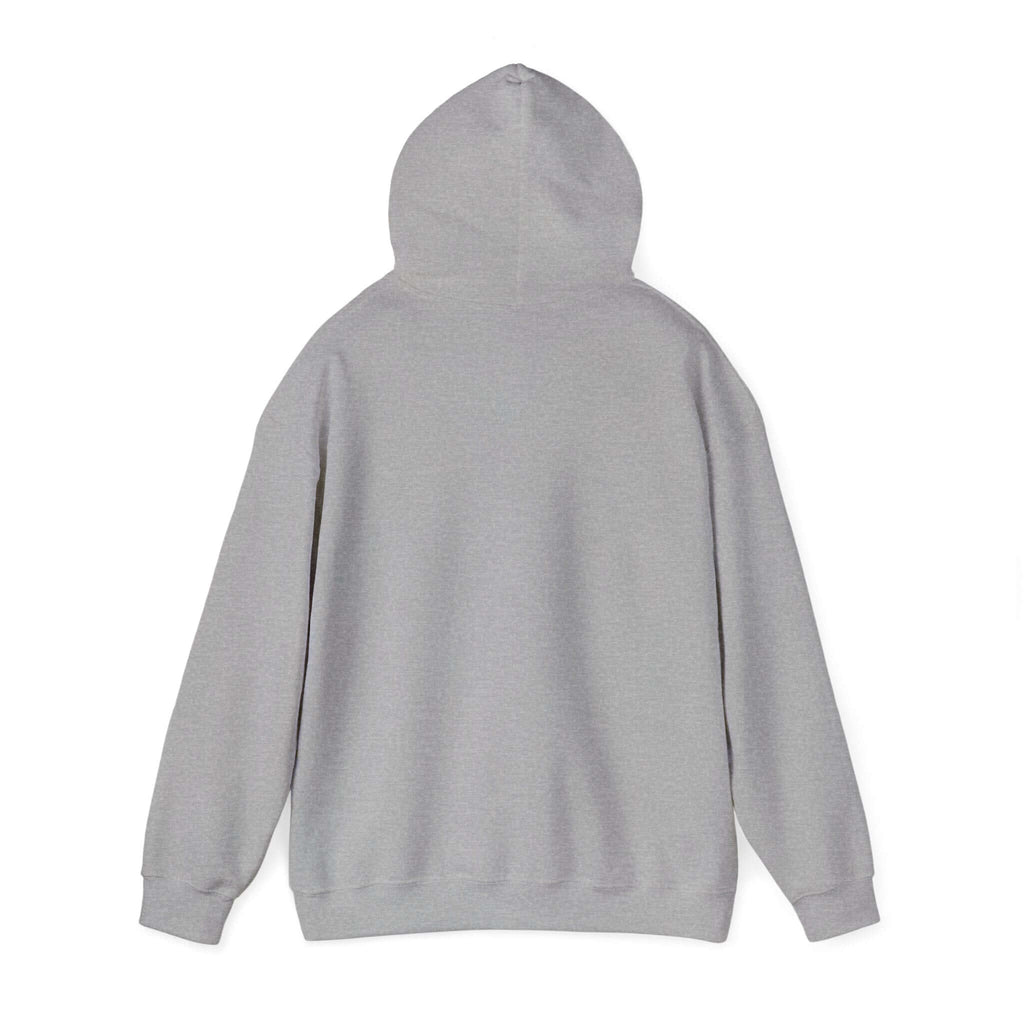 Off to Watch Soccer Hoodie | soccer watch party, cozy hoodie